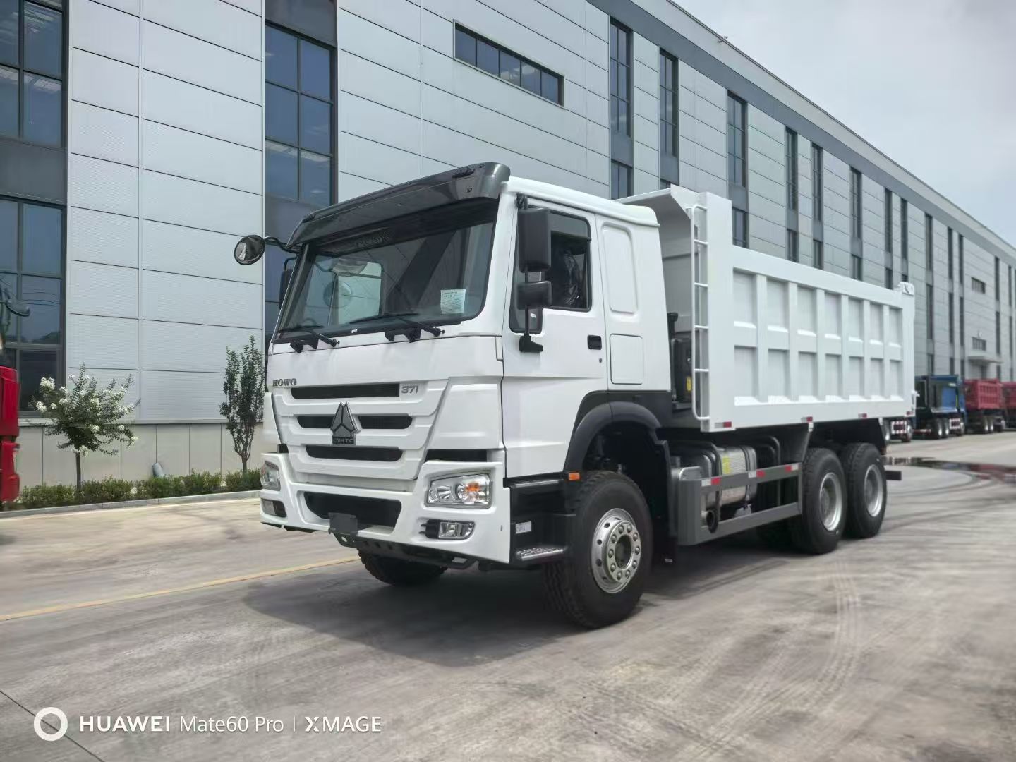 Synotruk Howo 트럭